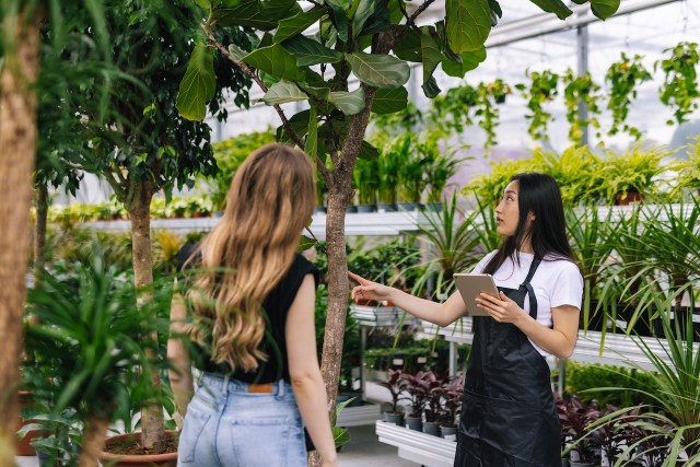 A Beginner’s Guide to Starting a Wholesale Plants Nursery